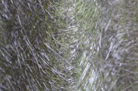 Roshven fibreglass roof work